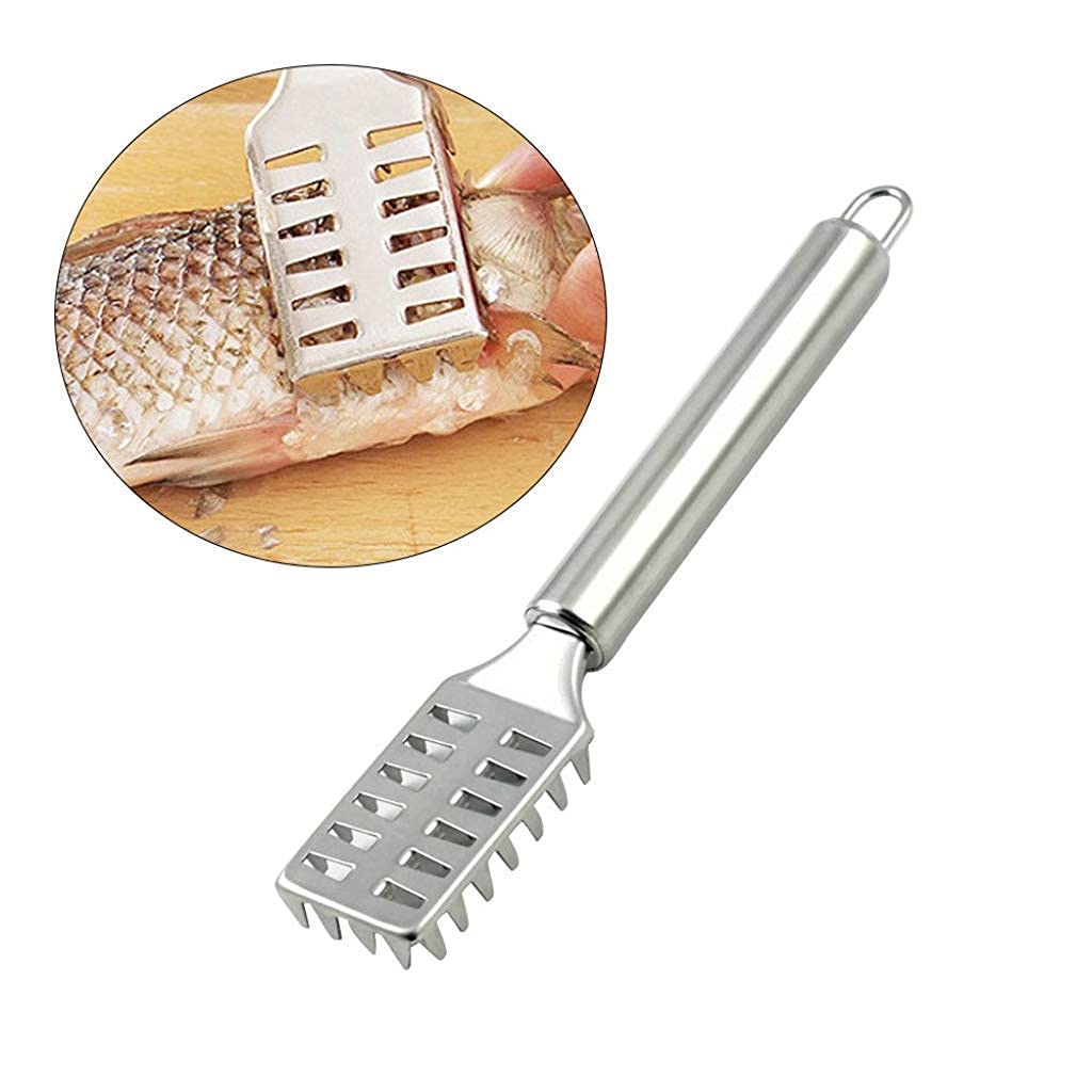 Fish Scale Remover 2 pcs