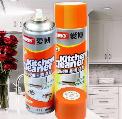 Stain Remover Foam Spray 500 ml