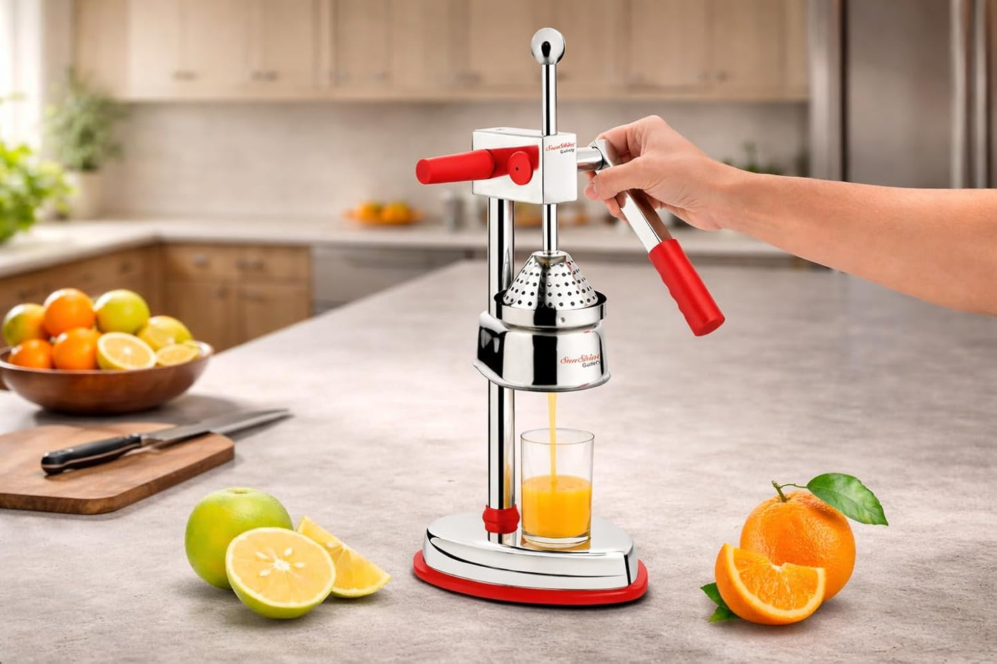 Stainless Steel Hand Juicer