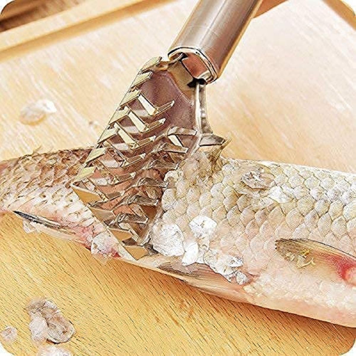 Fish Scale Remover 2 pcs
